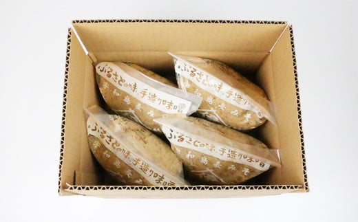 味噌 麦みそ 1kg × 4袋 3回 計 12kg 定期便 井伊商店 全麦麹味噌 天然醸造 非加熱 生味噌 麦みそ みそ 麦味噌 食品 miso お味噌 おみそ 発酵 発酵食品 加工食品 発酵調味料 