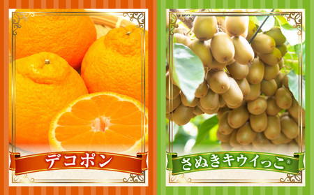 季節の恵み4回定期便C_mk165-t027
