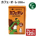 【ふるさと納税】【定期便】【2ヶ月毎5回】カフェ・オ・レ 250ml 24本 計120本（24本×5回） カフェオレ 牛乳 コーヒー 珈琲 乳飲料 らくのうマザーズ ジュース ドリンク 熊本県産 国産 九州 熊本県 菊池市 送料無料