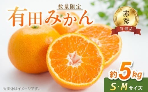 
                  【2026年先行予約】【赤秀 特選品】 有田みかん S,Мサイズ 約5kg 【ミカン 蜜柑 柑橘 温州みかん 有田みかん 和歌山 贈答 ギフト】_BF6005n
                