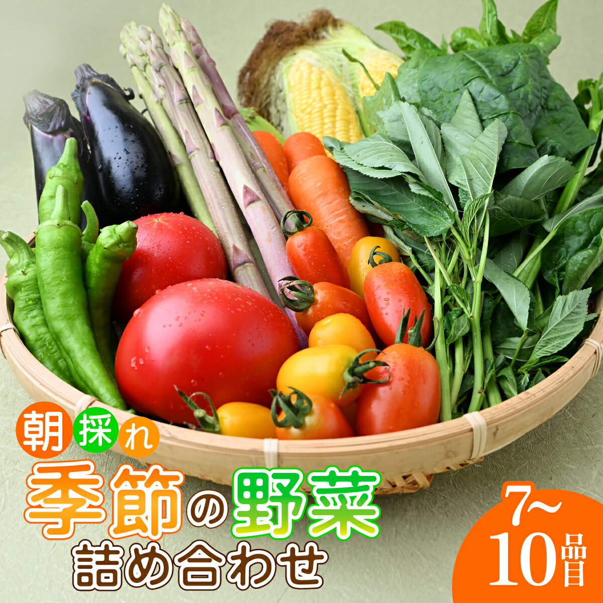 【ふるさと納税】野菜詰め合せ｜夏野菜 朝採れ 野菜 詰合せ 詰め合わせ セット 季節 旬 産地直送 春野菜 秋野菜 新鮮野菜 とうもろこし じゃがいも かぼちゃ ブロッコリー 大根 白菜 季節の野菜 国産野菜 茂木産 栃木県 茂木町 もてぎプラザ