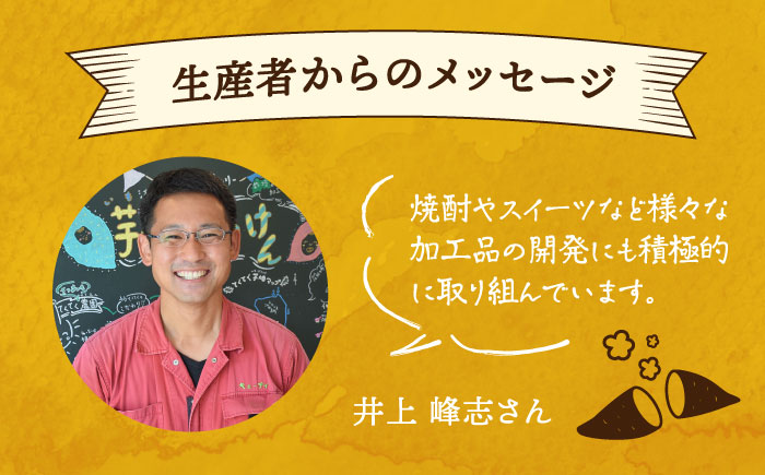 【全12回定期便】【さつまいもの甘みがぎゅっと詰まったタルト】てくてくのさつまいもたると ホール5号　芋 スイーツ お菓子 ギフト 広島県＜峰商事 合同会社＞江田島市 [XAD069]