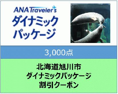 北海道旭川市ＡＮＡトラベラーズダイナミックパッケージ割引クーポン3,000点分