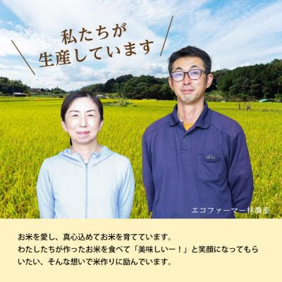ふるさと納税 黒部市 令和7年産コシヒカリ一等米10kg 玄米 |  | 02