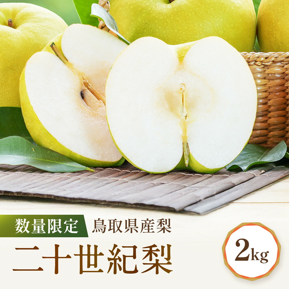 【ふるさと納税】梨 二十世紀梨 約2kg 先行予約 数量限定 鳥取県産 梨 | 梨 なし 二十世紀梨 二十世紀 2kg 果物 フルーツ ナシ 甘い 果汁 和梨 箱 甘み くだもの 国産 二十世紀 なし 果実 鳥取県 琴浦町