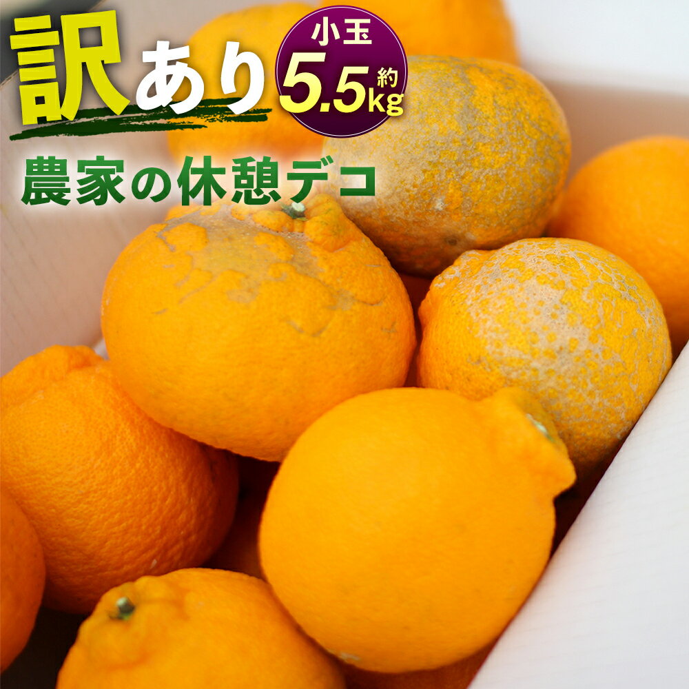 【ふるさと納税】農家の休憩デコ 約5.5kg 訳あり 小玉 不知火 傷あり バラ ご家庭用 九州産 熊本県産 果物 みかん 柑橘 送料無料【2026年2月下旬-6月下旬発送】
