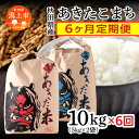 【ふるさと納税】 新米 令和6年 定期便 6か月 10kg 5kg × 2袋 精米 直送 あきたこまち 米 お米 こめ おこめ コメ ブランド米 美味しい 産地直送 贈り物プレゼント おいしいお米 秋田こまち 六ヶ月 6ヶ月 訳あり 定期 一人暮らし 【鎌仁商店】