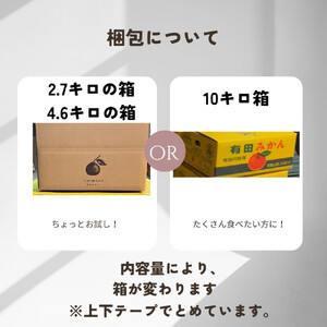【ふるさと納税】【先行予約】有田みかん 早生 温州みかん 10kg 家庭用 S～２Lサイズ 混合 柑橘 フルーツ みかん 産地直送 お取り寄せ 送料無料 温州ミカン