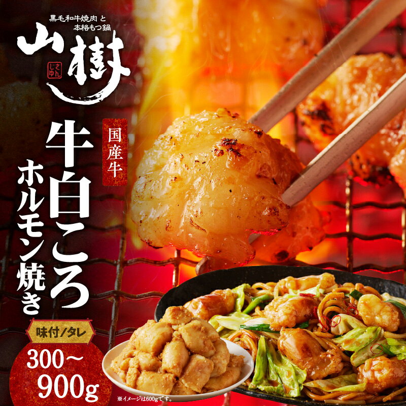 【ふるさと納税】 国産牛 白ころホルモン焼き 300g / 600g / 900g 【内容量が選べる】 肉 牛肉 山樹 丸腸 味付 プリプリ 小腸 味噌タレ にんにく バーベキュー 炒め物 ホルモン丼 野菜炒め 焼きうどん 下処理済み 愛知県 小牧市 送料無料