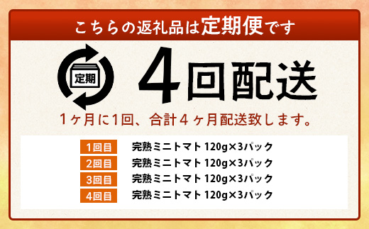 【4回定期便】【先行予約】完熟ミニトマト 【少量パック】120gx3p　たにぐちファーム 完熟ミニトマト 360g とりこになるトマト 野菜 とまと トマト リコピン 佐賀産 佐賀県 鹿島市　E-16