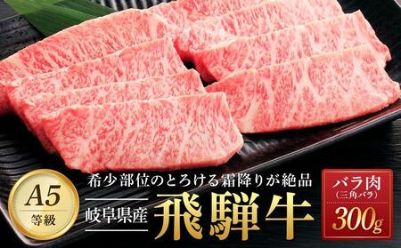 【全４回定期便】飛騨牛Ａ5 「希少部位」全4回 1.2kg（三角バラ カイノミ イチボ ランプ）｜国産 肉 牛肉 焼肉 和牛 黒毛和牛 グルメ おすすめ【飛騨牛 和牛ブランド 飛騨牛 黒毛和牛 飛騨牛