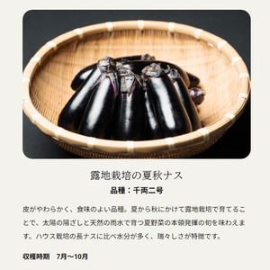 【定期便3回】旬を味わうナス 約3kg