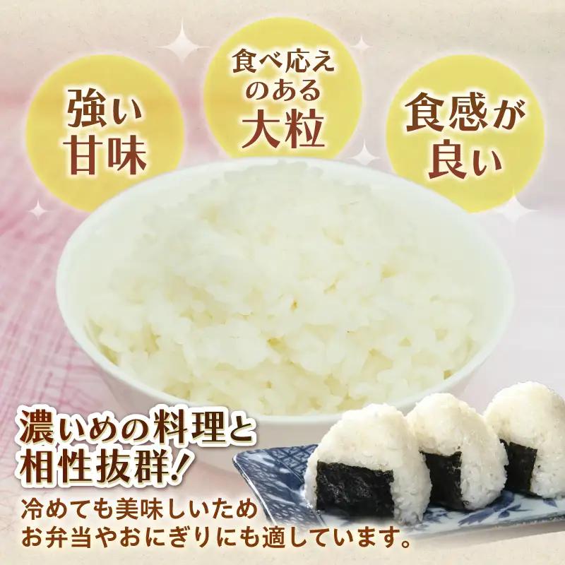 令和7年産 にじのきらめき 20kg お米 白米 精米