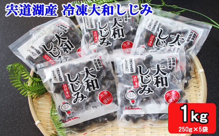 宍道湖産 冷凍 しじみ 約1.2kg（250g×5袋））| しじみ