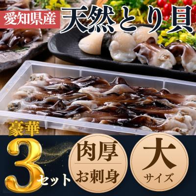 ふるさと納税 南知多町 純国産【貝専門店】肉厚 トリ貝 刺身 【大9枚入り】3セット 岬だより