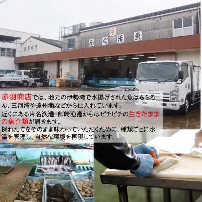 ふるさと納税 南知多町 国産 とらふぐ ちり鍋・唐揚げ用(2〜3人用)400g×1パック 冷凍 |  | 01