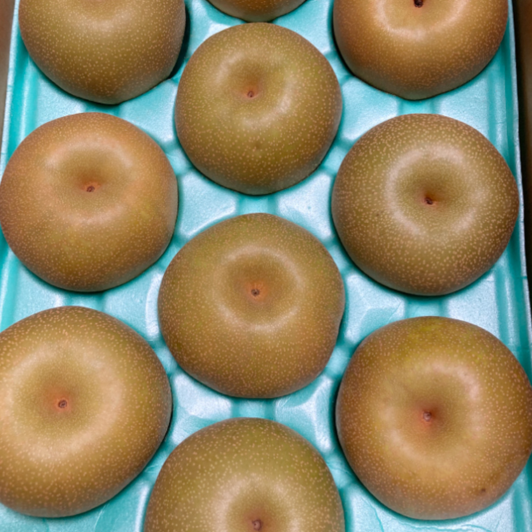 【定期便】梨 5kg(7~12個)品種移り変わりセット【2025年8