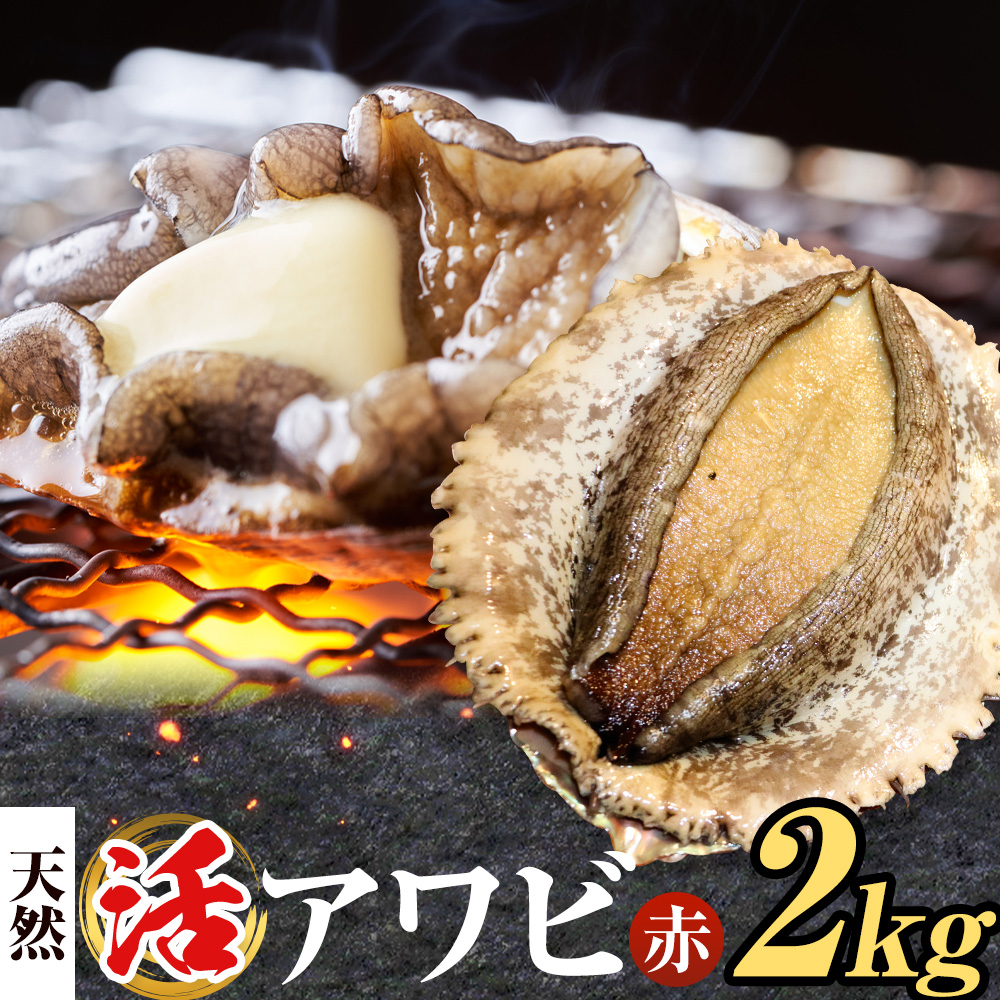 【数量限定】天然『活』アワビ (赤) 2kg ( 6～10個 )《7月中旬-9月上旬頃出荷》 寺田水産 【配送不可地域：離島・北海道・沖縄県・東北・中国・四国・九州】 千葉県 勝浦市 海産物 鮑 あわび 刺身---kastuura_trd_1---