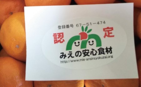 フルーツ みかん 早生 興津 温州 蜜柑 三重県  高品質 みえ アルギット / LLサイズ 前元農園の完熟早生(興津)温州みかん 10kg【2026年12月初旬～下旬に順次発送予定】【mmg004A