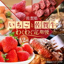 【ふるさと納税】【先行予約】【全12回定期便】佐賀県の生産者を応援！いちごと佐賀牛のわくわく定期便 / 白いちご いちご ステーキ ハンバーグ 切り落とし 佐賀牛 / 佐賀県ふるさと納税[41AAZZ010]