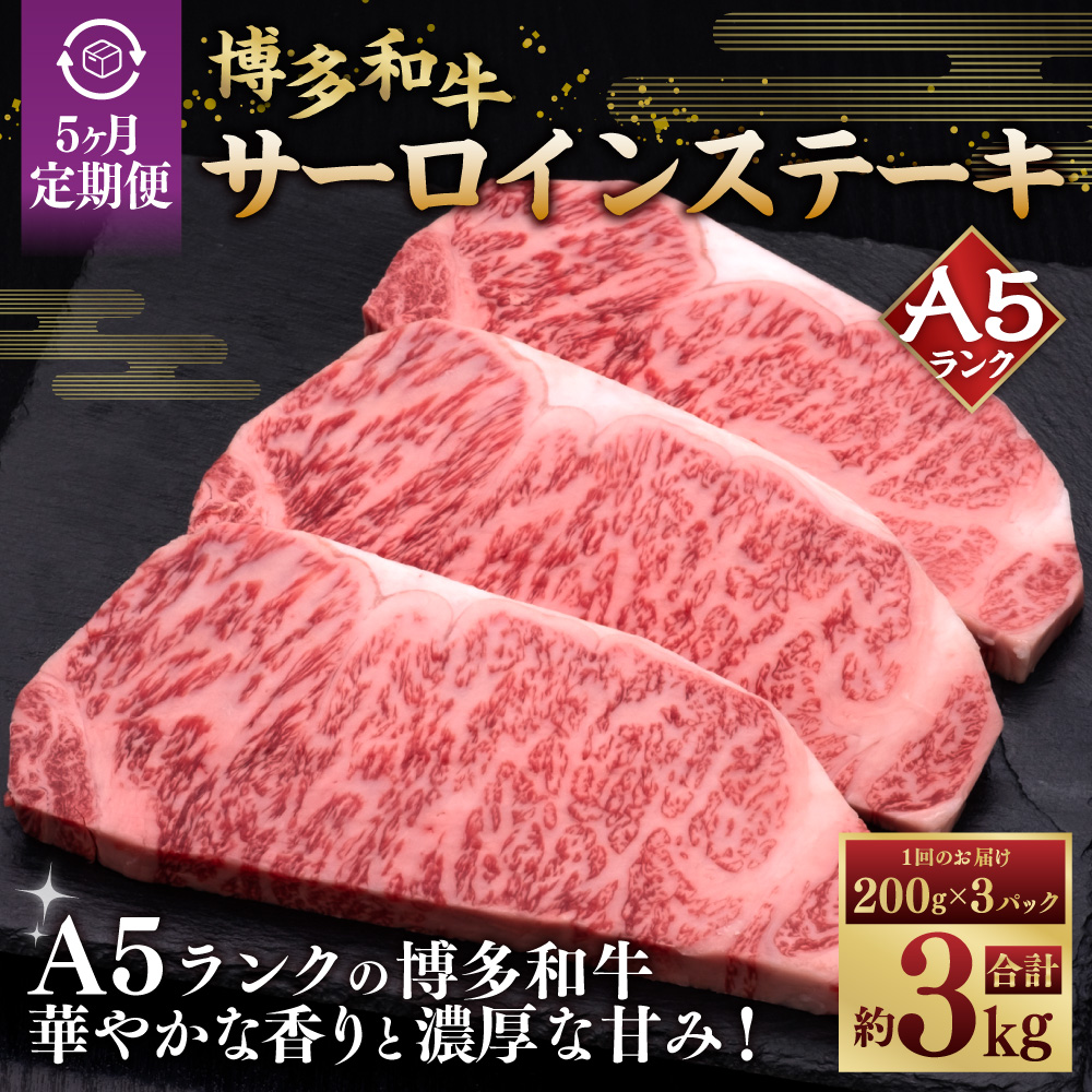【5ヶ月連続定期便】A5等級 博多和牛サーロインステーキ 200g×3枚 肉 牛肉