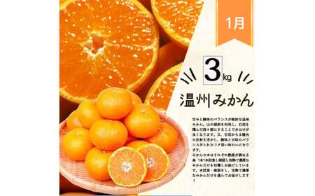 定期便【全4回/1・2・3・4月】旬の柑橘定期便 / みかん ミカン 柑橘 オレンジ 果物 くだもの フルーツ フルーツ定期便 和歌山【tkb416】