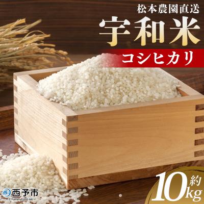 ふるさと納税 西予市 令和7年産:松本農園直送「宇和米(コシヒカリ)」10kg