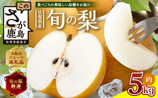 梨 約 5kg 【2026年 予約受付】佐賀県産 | ふるさと納税 梨 なし 果物 フルーツ 果実 贈答用 お取り寄せ ギフト 国産 佐賀県産 佐賀県 鹿島市 ふるさと 人気 送料無料 おくりもの プレゼント B-875 豊水 新高 あきづき 秋月