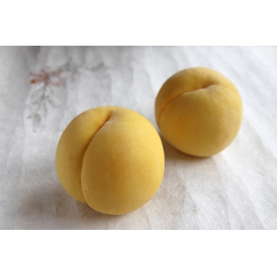 
            ＜2026年発送＞フルーツ王国　長野県信州直送　黄金桃　約5kg(12～16玉)【1576214】
          