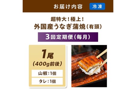 【定期便 毎月×3回】超特大！ふっくら肉厚！うなぎ蒲焼 1尾 400g前後