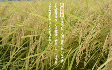 TVでも話題のお米 ゆうだい21 ＼令和7年産／【数量限定】あい　farm　やなぎのお米　令和7年産 ゆうだい21 玄米 5kg | 栃木県 益子町 ふるさと納税 お米 米 5kg 玄米 (DQ008