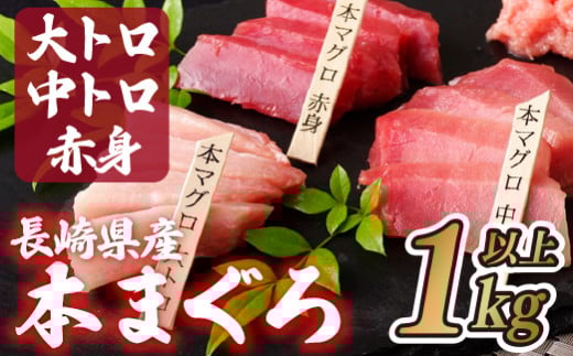 A122p 長崎県産 本マグロ (大トロ・中トロ・赤身) 計1kg以上 海鮮丼のタレ付き【本家永松家】 冷凍 真空パック マグロ まぐろ 鮪 大トロ 大とろ 中トロ 中とろ 赤身 セット 刺身 海鮮丼