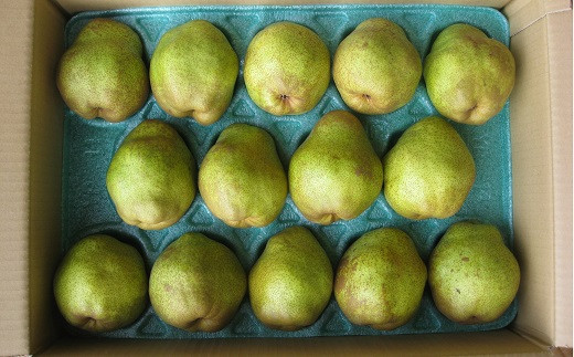 【令和8年産先行予約】 〈訳あり品 家庭用〉 ラ・フランス 約5kg (14～18玉 2～4L) 《令和8年11月中旬～発送》 『寿農園』山形県 南陽市 [1056]