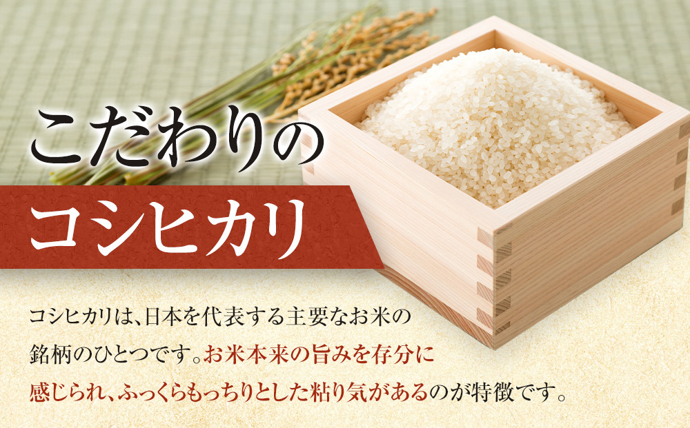 1097.【定期便全6回】【令和8年産新米産】【食味鑑定士厳選】 鳥取県産 コシヒカリ10kg (5kg×2袋) 合計 60kg