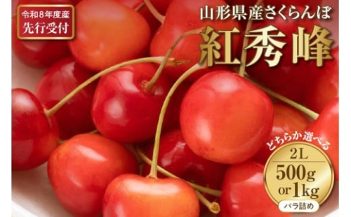 選べる内容量！【2026年産先行予約】さくらんぼ紅秀峰 秀2L 1kg/500g 秀品 2Lサイズ 山形県河北町産【晴天畑】 さくらんぼ 山形県 ふるさと納税 大粒 紅秀峰 贈答 ギフト