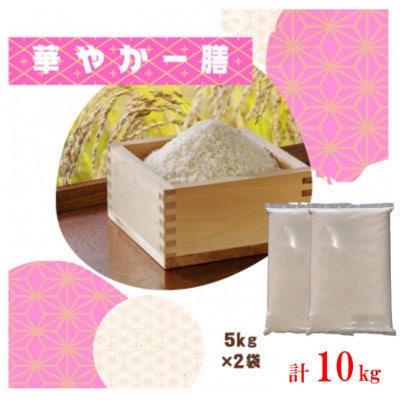【毎月定期便】訳あり【無地袋梱包】蛇紋岩ブランド 華やか一膳 10kg(5kg×2)全12回【4093783】
