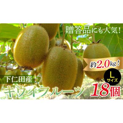 ふるさと納税 下仁田町 <先行予約>【3年連続受賞】下仁田町産キウイフルーツ(18個入り/Lサイズ)　約2.0kg