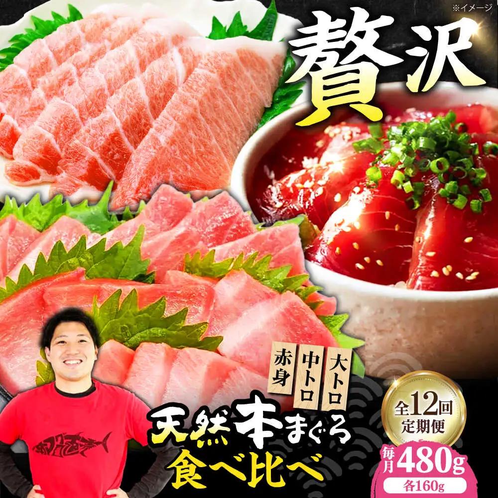 【全12回定期便】たね熟天然本まぐろ赤身＆中トロ＆大トロセット(各160g 計480g)[AOCE045]マグロ