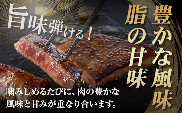 佐賀牛ロースステーキ用500g(2枚入) 黒毛和牛 ブランド牛 牛肉 贈答用 お歳暮 お中元 送料無料 人気 ランキング A5～A4 ブランド牛 ステーキ 焼肉  高評価 国産 佐賀県産