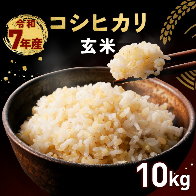 【ふるさと納税】玄米 コシヒカリ 10kg 令和7年産 米 お米 コメ こしひかり ご飯 ごはん げんまい 国産 おにぎり 弁当 10キロ R7年産 小西農産 笠間市 かさま 茨城県 いばらき