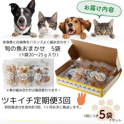 ふるさと納税 東洋町 【毎月定期便】高知の魚100%魚のおやつわんにゃんペットフード旬の5種アソート 犬猫用おやつ全3回 |  | 03