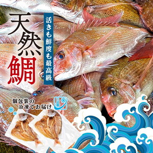 特大天然鯛ひものセット 鯛 たい ひもの 干物※北海道・沖縄・離島への配送不可