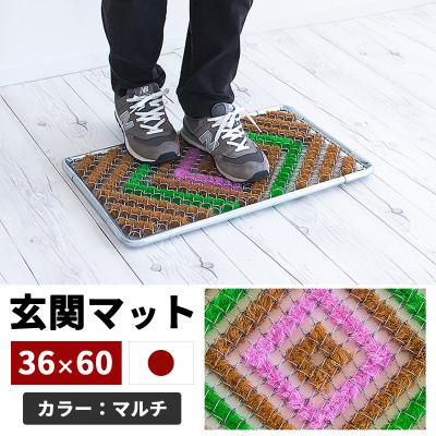 ふるさと納税 海南市 玄関マット 泥 雪 落とし 36×60cm マルチ3色 SNG102107801