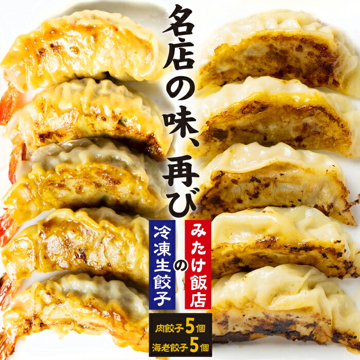 【ふるさと納税】 冷凍生餃子 おすすめ 肉餃子 5個 えび餃子 5個 計10個 / 野菜 肉 海老 惣菜 総菜 中華 中華惣菜 焼き餃子 水餃子 特大 手作り ウシエビ おかず 時短 冷凍食品 ぎょうざ ギョウザ ギョーザ お取り寄せ 送料無料 餃子 手軽 便利 みたけ飯店 岩手県 雫石町