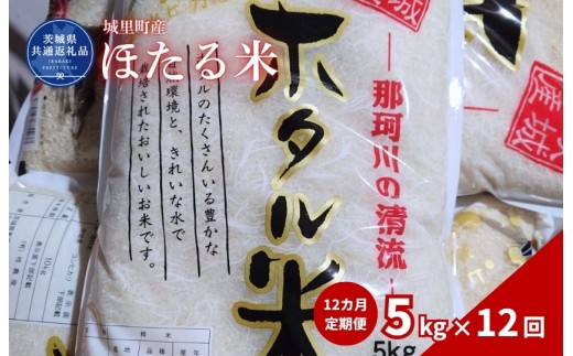 ほたる米 5kg 定期便 12ヶ月 米 こめ コメ お米 おこめ コシヒカリ ホタルマイ 白米 精米 ごはん ご飯 令和7年産 茨城県 城里町 高萩市（茨城県共通返礼品・城里町産）
