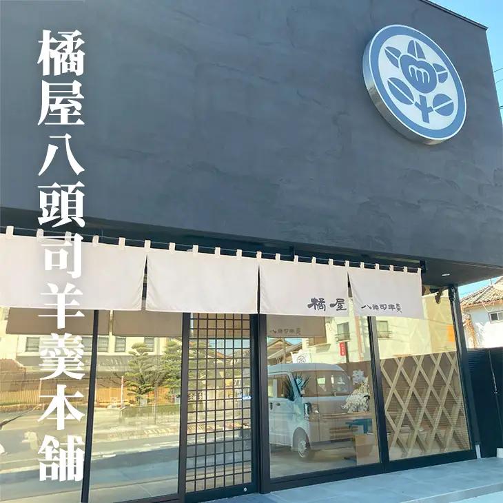 昔そのまま切り羊羹（小）5本詰 小城羊羹 和菓子 A090-029