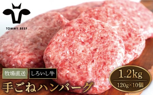 【牧場直送】佐賀県産 しろいし牛 ボリュームたっぷり 手ごね ハンバーグ 120g×10個【有限会社佐賀セントラル牧場】 [IAH044]