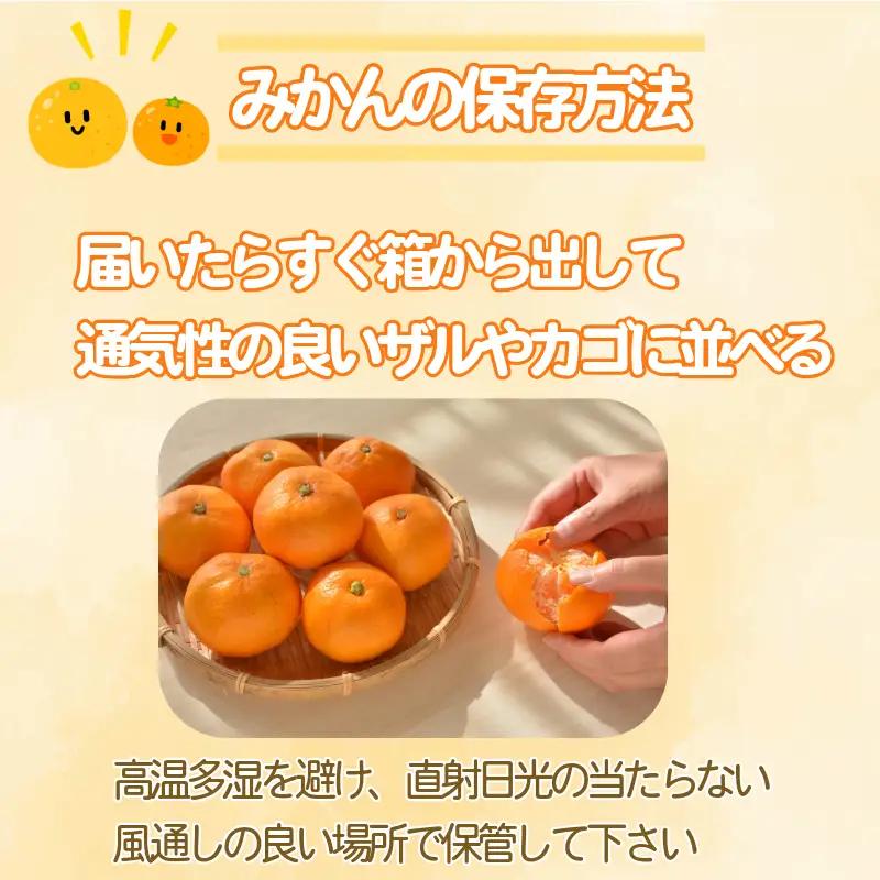 【2026年11月発送】訳あり 温州みかん 10kg + 500g(傷み補償分) みかん