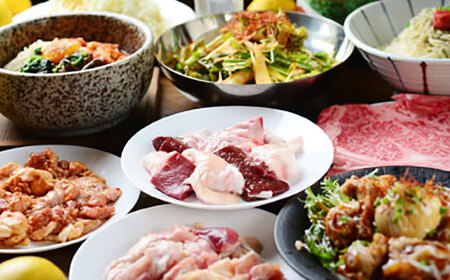 ホルモン焼肉酒場 フジ山 お食事券 12，000円分  多治見市 居酒屋 飲み放題 チケット[TGH029]