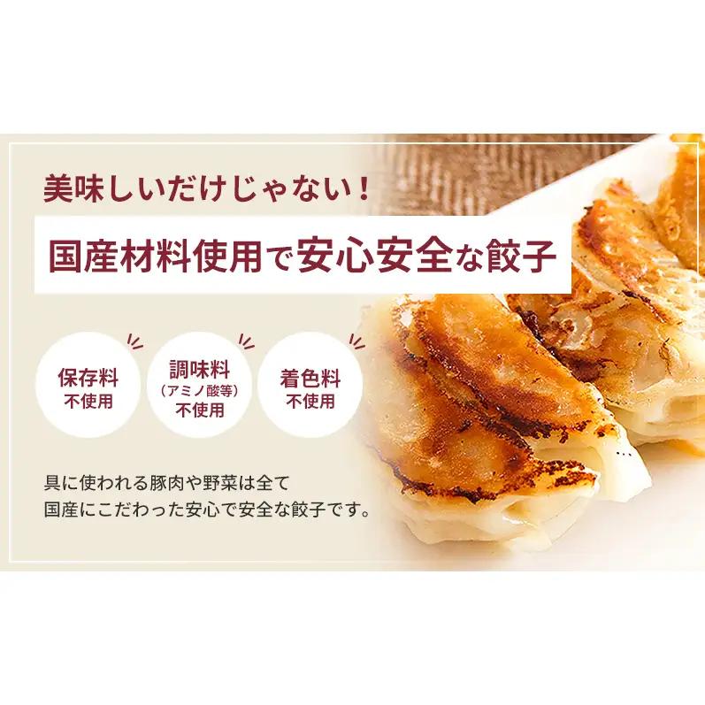 【定期便6回】浜松餃子 80個 (20個×4袋) セット 詰め合わせ 餃子のたれ 小袋 知久屋 国産 ぎょうざ 餃子 ギョーザ 冷凍餃子 冷凍ギョーザ 工場直送 ヘルシー あっさり 惣菜 中華 点心 